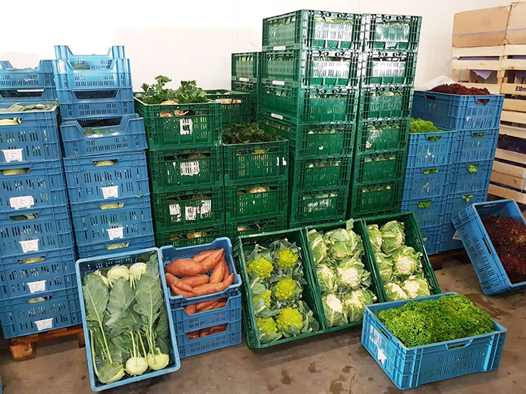 Wir vom Großhandel Winter in Haffen-Rees bieten Ihnen eine große Auswahl an feldfrischen Obst und Gemüse