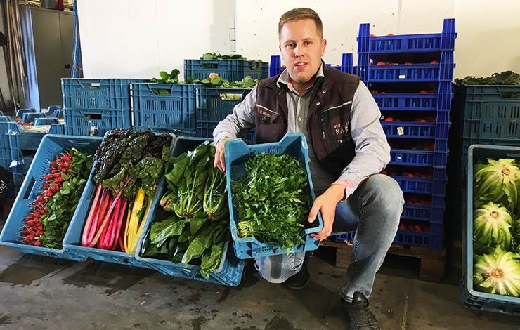 Frisches Obst und Gemüse vom Obst- & Gemüsegroßhandel Winter